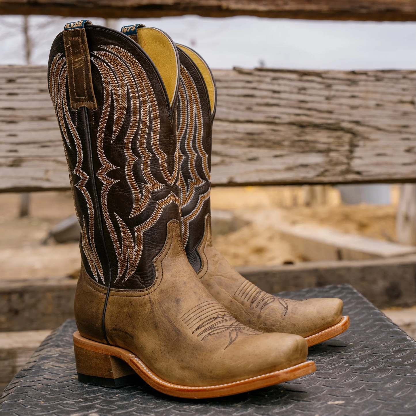 13" TAN STAFFORD BOVINE D